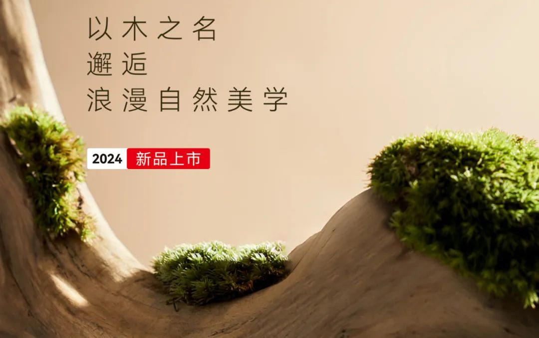 【木外系列】木之造物，美自天成
