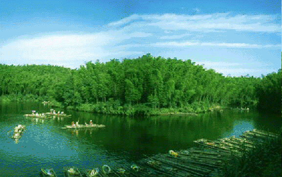 8.gif